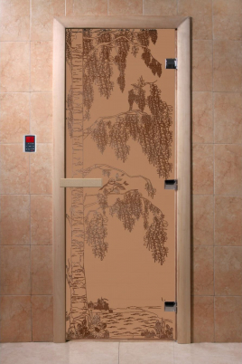 Стеклянная дверь DoorWood Береза бронза матовая, коробка ольха